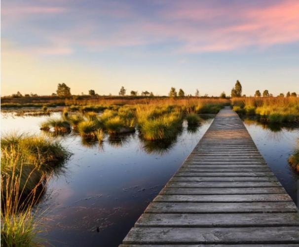 Gite Ardennes Au Coin Du Feu Jacuzzi Sauna Et Nature Jalhay Exterior foto