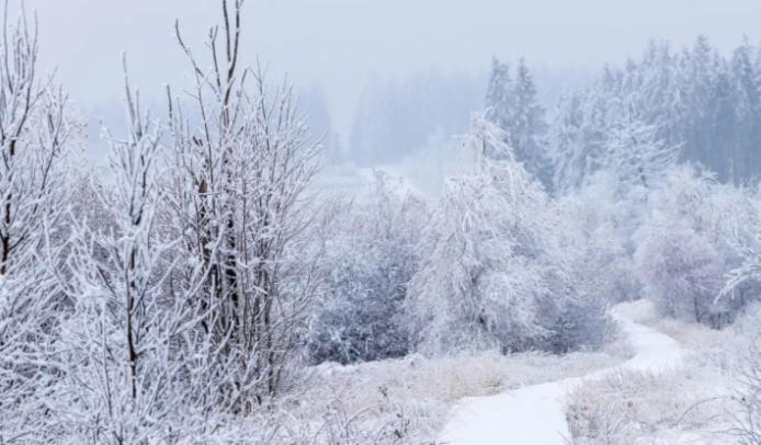Gite Ardennes Au Coin Du Feu Jacuzzi Sauna Et Nature Jalhay Exterior foto